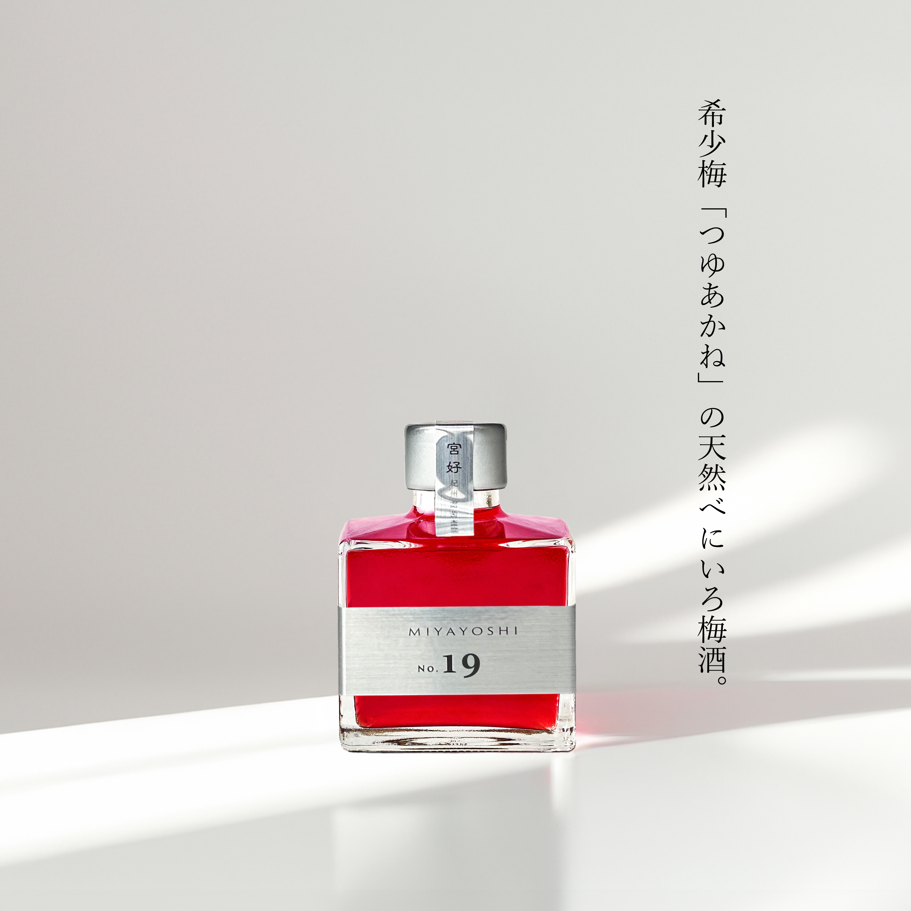 写真：MIYAYOSHI No.19
