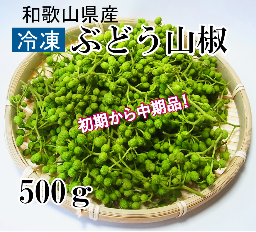 冷凍生山椒 ぶどう実山椒 初期から中期品 和歌山県産青実山椒500ｇ おいしく食べて和歌山モール