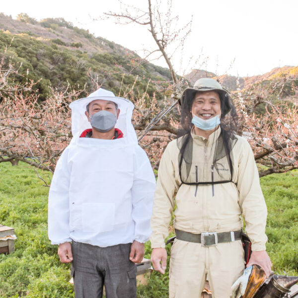 みつばちの日に和歌山のはちみつを知る🍯