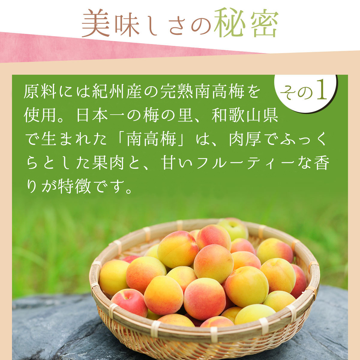 【紀州産南高梅】しらら 1kg3