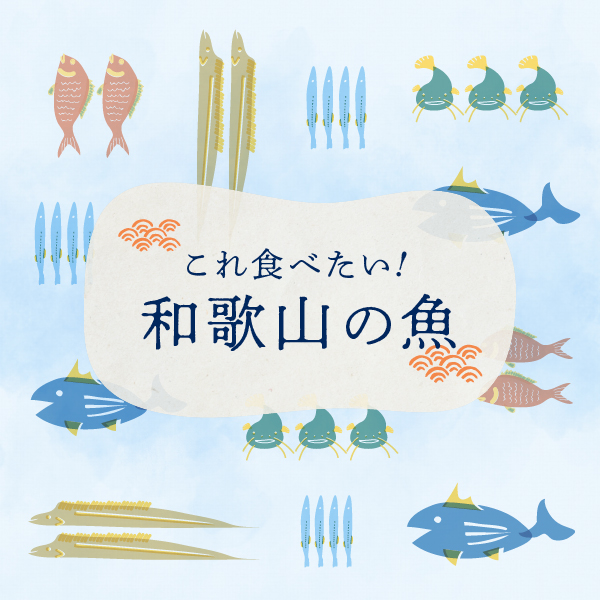 写真：これ食べたい！和歌山の魚