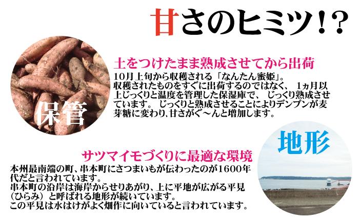なんたん蜜姫  和歌山県串本産 さつまいも サツマイモ 3kg　送料無料3