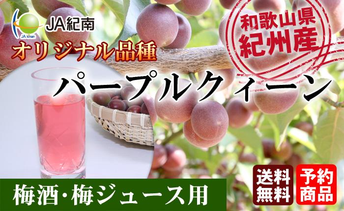 パープルクィーン　和歌山県の農協ＪＡ紀南だけのオリジナル品種　梅酒用･梅ジュース用　送料無料2