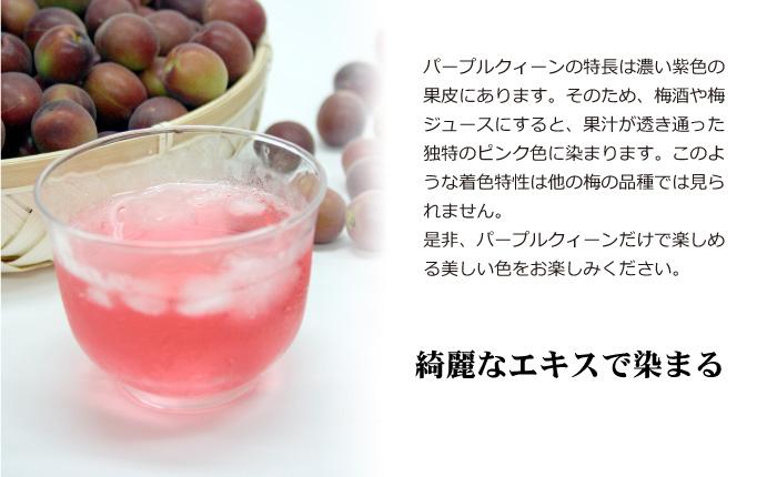 パープルクィーン　和歌山県の農協ＪＡ紀南だけのオリジナル品種　梅酒用･梅ジュース用　送料無料4