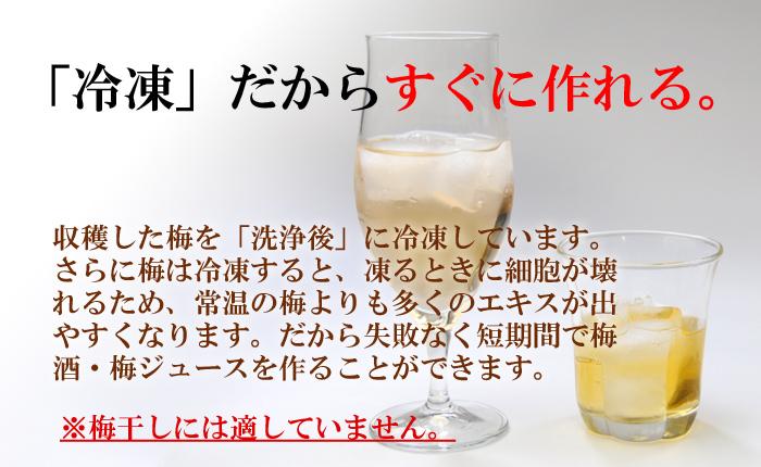 氷梅 冷凍南高梅 梅酒用･梅ジュース用4