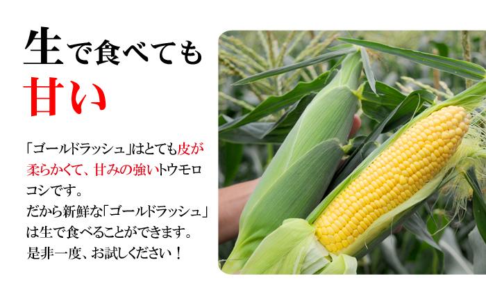 トウモロコシ 和歌山県とんだ産 朝採りとうもろこし ゴールドラッシュ 生で食べられる甘い玉蜀黍2