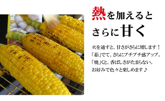 トウモロコシ 和歌山県とんだ産 朝採りとうもろこし ゴールドラッシュ 生で食べられる甘い玉蜀黍3