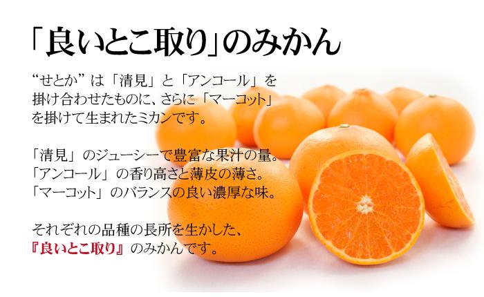 せとか 〜柑橘の大トロ 木熟 とろけるような食感のみかん3