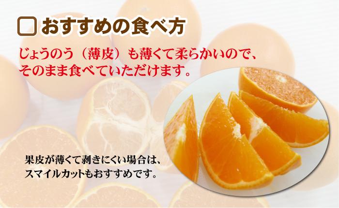 せとか 〜柑橘の大トロ 木熟 とろけるような食感のみかん5