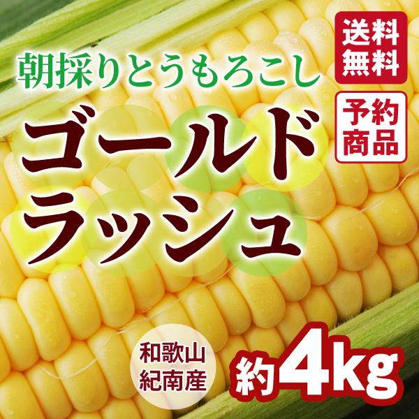 和歌山県とんだ産　朝採りとうもろこし「ゴールドラッシュ」