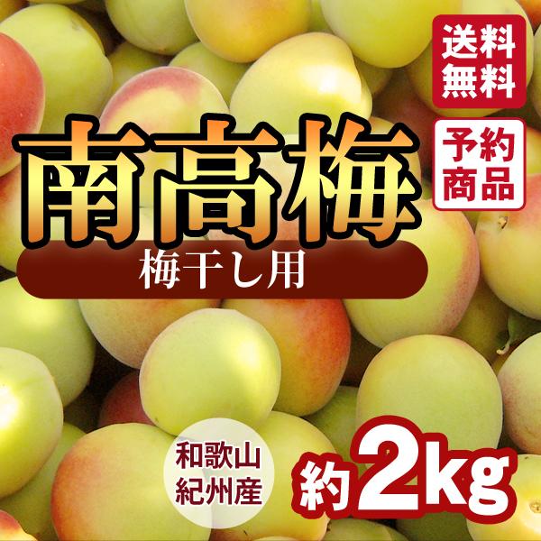 ＜梅干し用＞紀州産南高梅