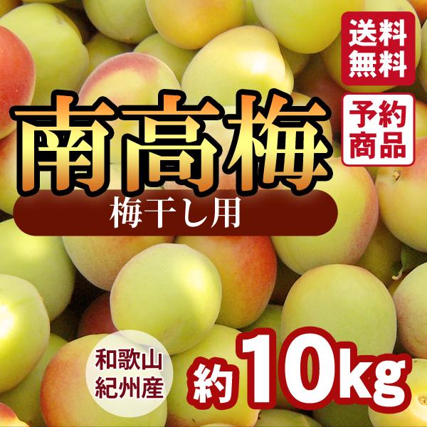 約10kg2