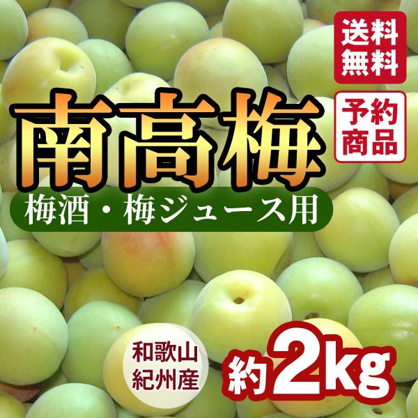 ＜梅ジュース・梅酒用＞紀州産南高梅