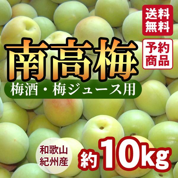 約10kg3