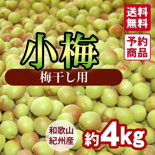 ＜梅干し用＞紀州産小梅