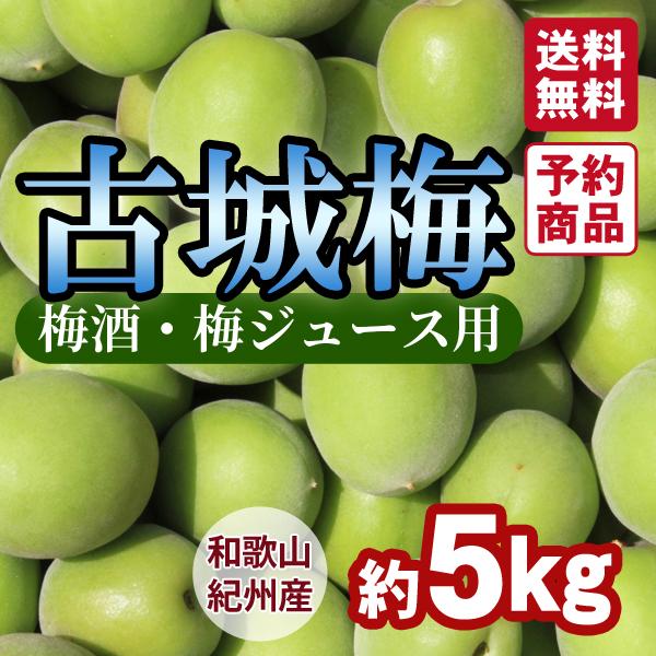 ＜梅ジュース・梅酒用＞古城梅