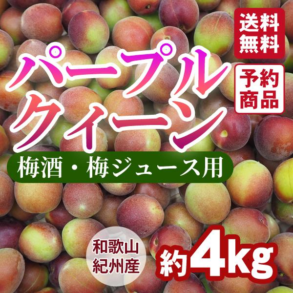 ＜梅ジュース・梅酒用＞パープルクィーン