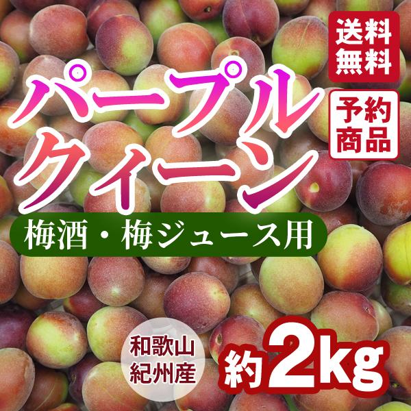 約2kg1