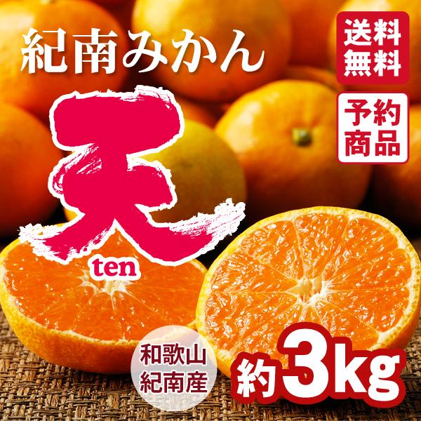 紀南みかん「天」