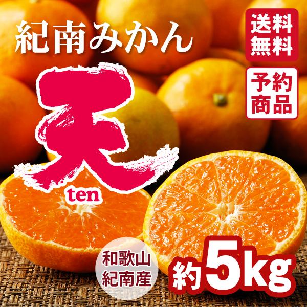 約5kg2