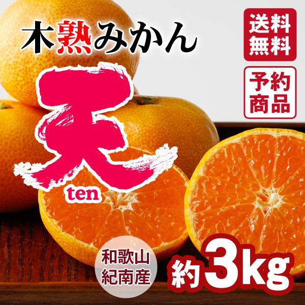木熟みかん「天」