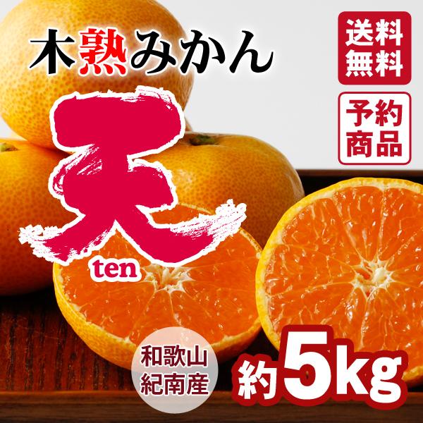 約5kg2