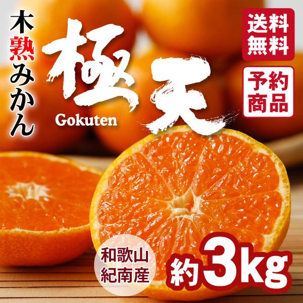 木熟みかん「極天」