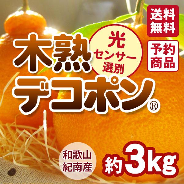 木熟デコポン
