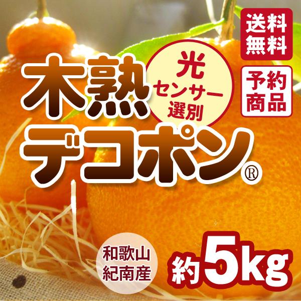 約5kg2