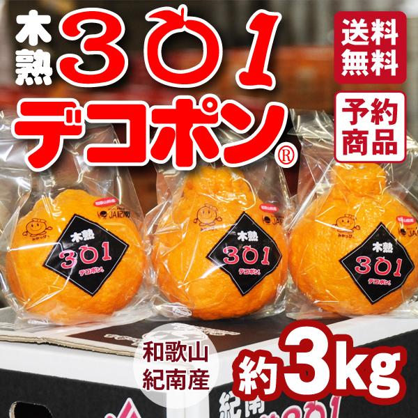 木熟301デコポン