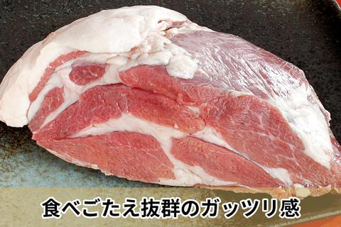 【塊肉】「イノシシ　肩ロース肉」ブロック