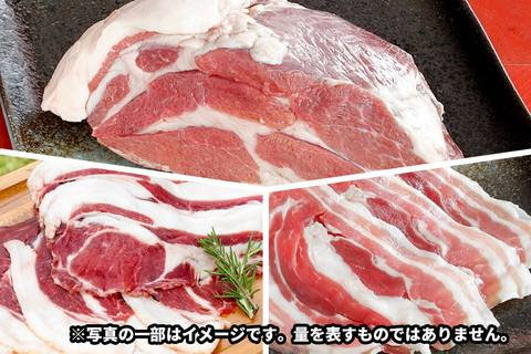 【5～6人用セット「イノシシ肉」BBQ用セット