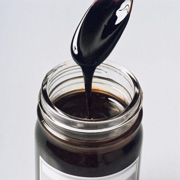 紀州南高梅100% 「梅エキス」液状タイプ