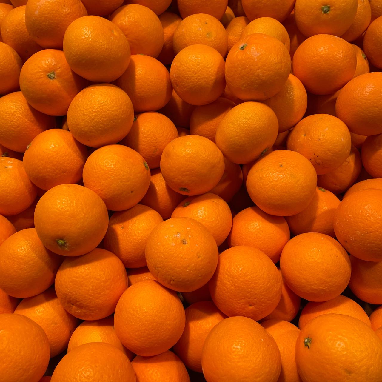 清見オレンジ１００％無添加ジュース720ml3