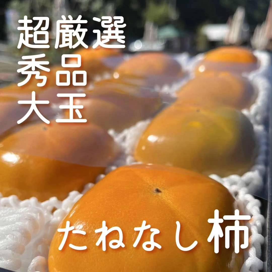 タネなし柿