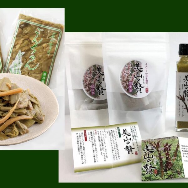 【ごんちゃん＋美山の贅(ぜい)シリーズ】 イタドリ加工品４種詰合せセット