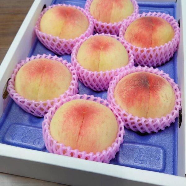 和歌山生まれの美白桃『紀州白桃』