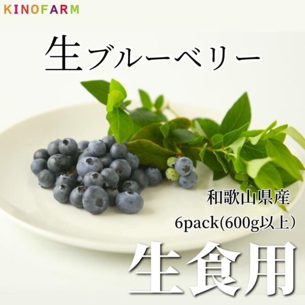 ブルーベリー 生 和歌山県産 600g(100g×6pac)