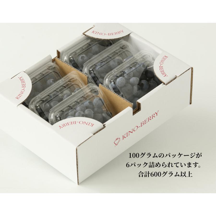 ブルーベリー 生 和歌山県産 600g(100g×6pac)2