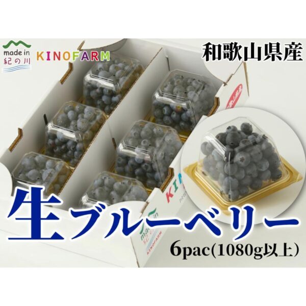 ブルーベリー 生 和歌山県産 1080g(180g×6pac)