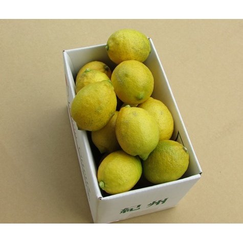 紀伊路屋 有田産香酸柑橘（ゆず・レモン） | おいしく食べて和歌山モール