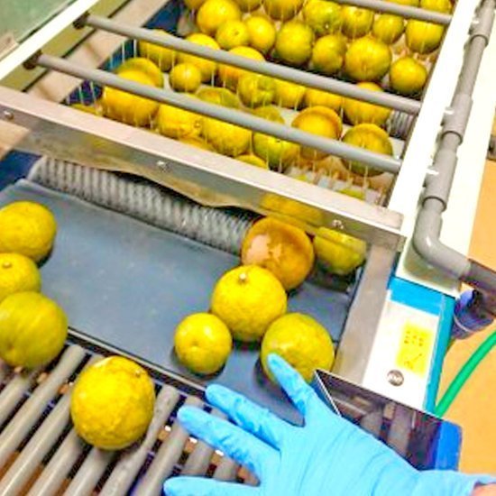 和歌山県の柑橘じゃばらパウダー　レターパックライト対応商品4