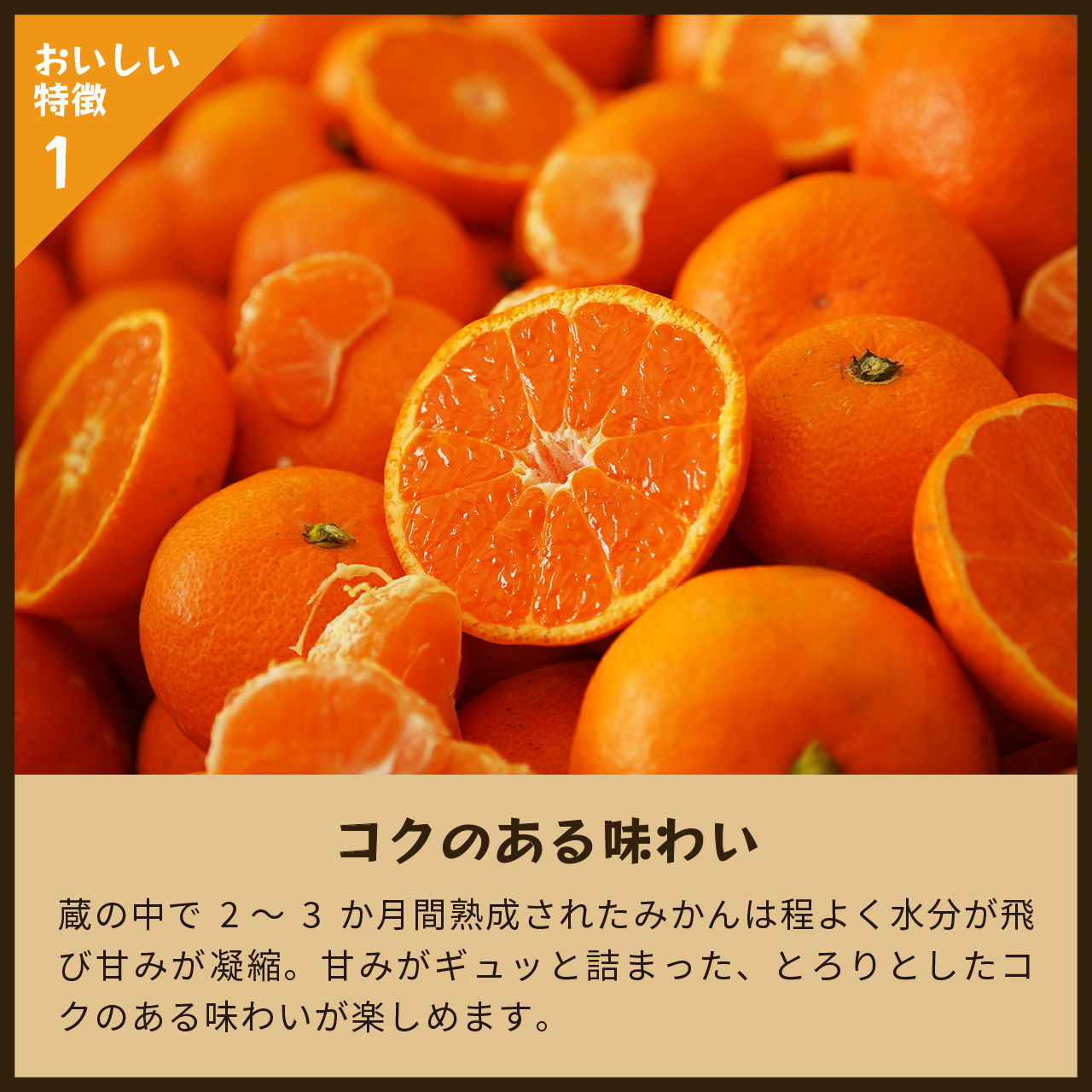 蔵出しみかん晩生