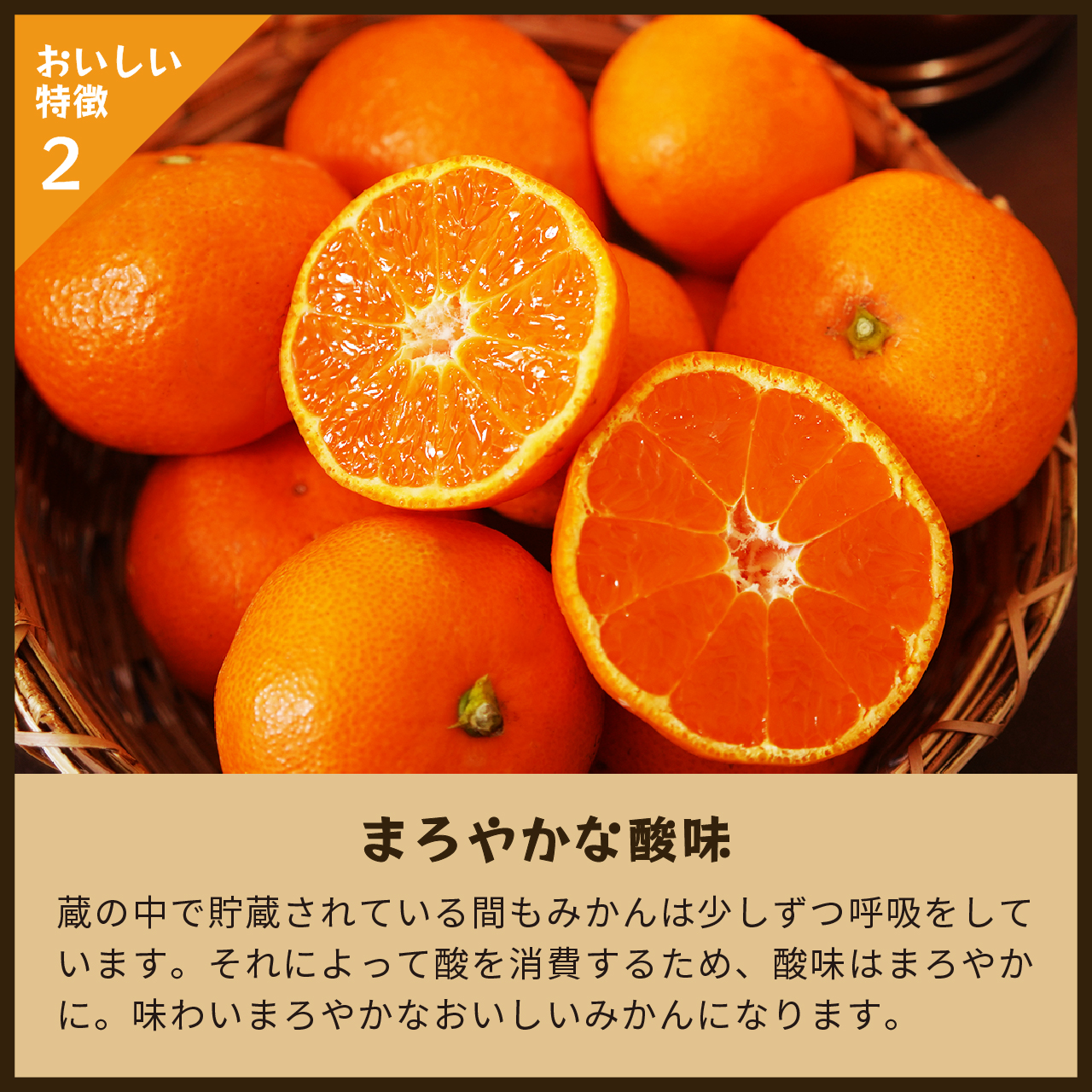 蔵出しみかん晩生
