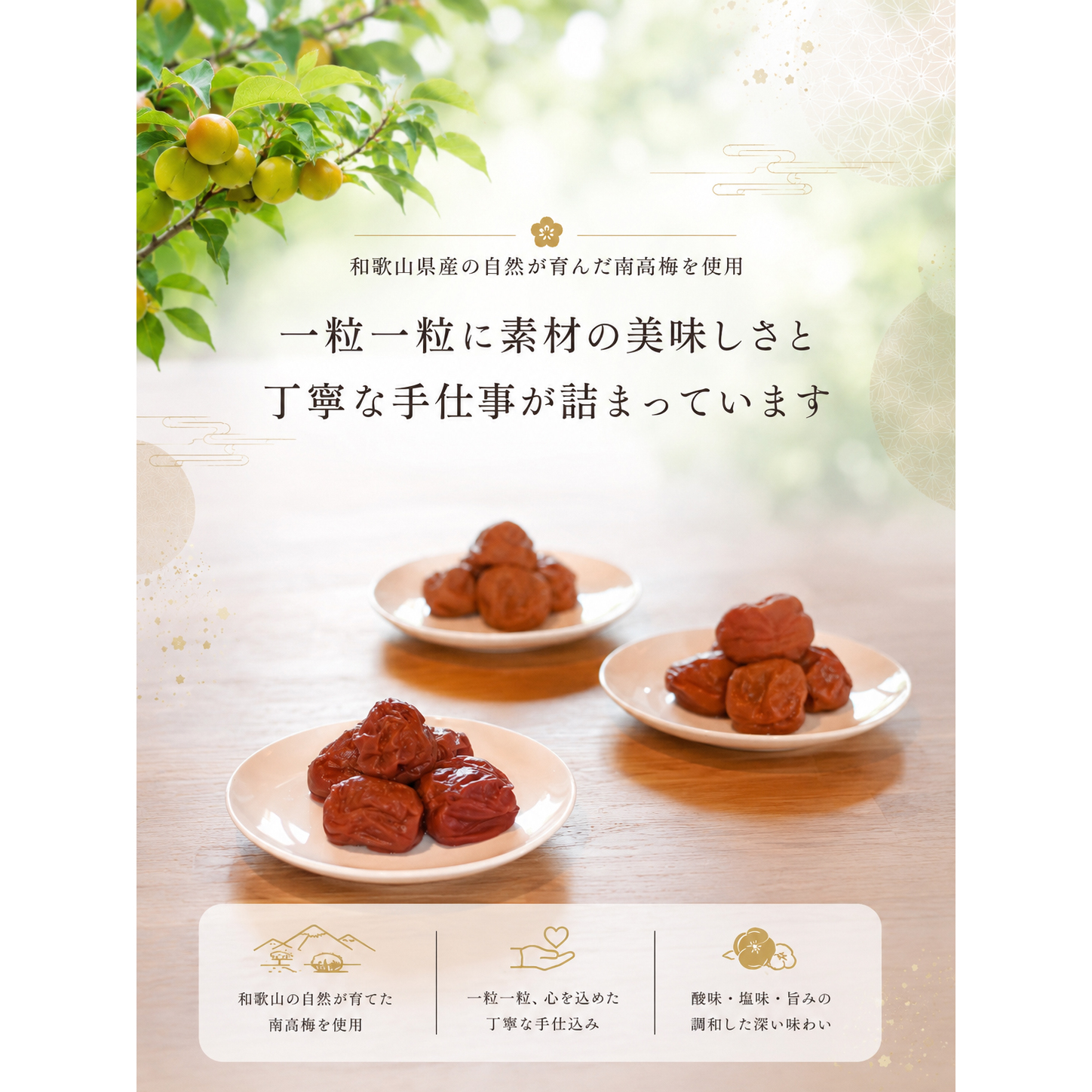 和歌山じむ屋 紀州南高梅 梅干し 3種セット 化粧箱入り