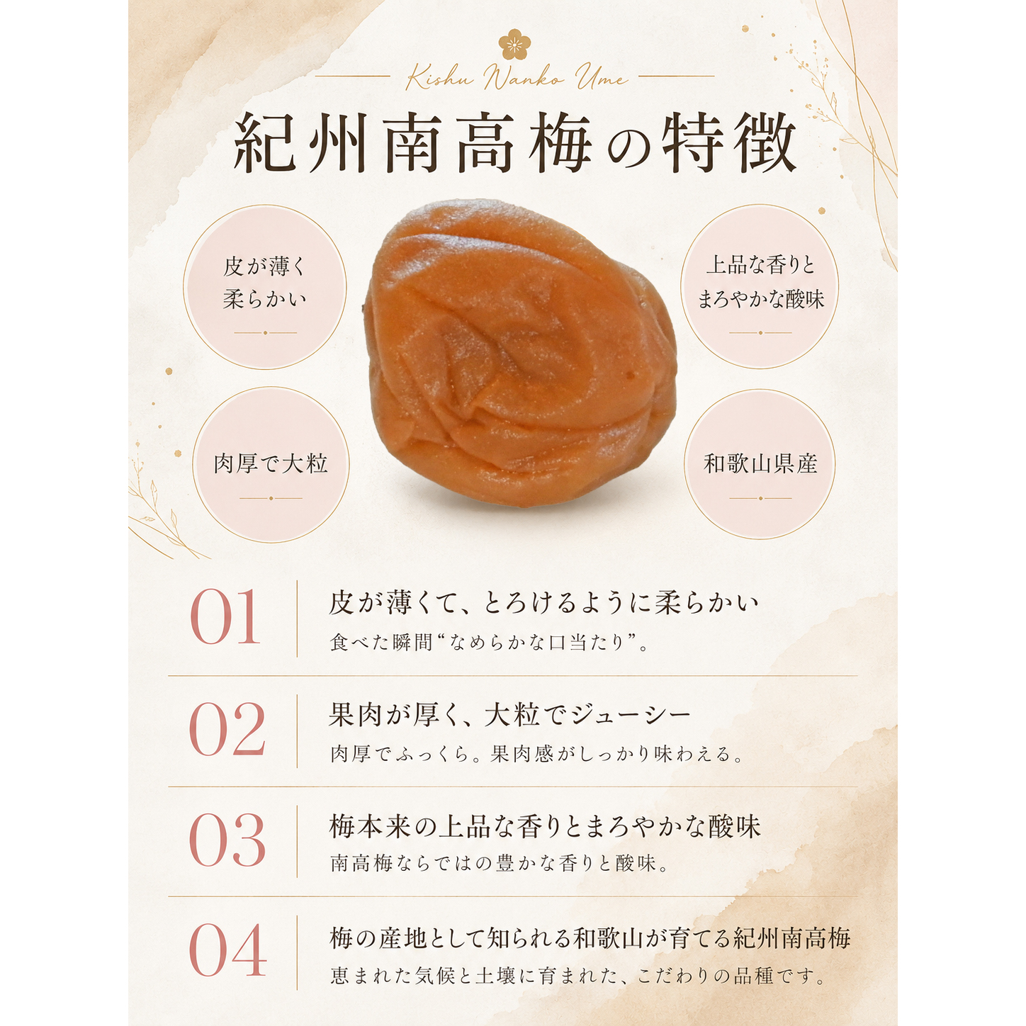 和歌山じむ屋 紀州南高梅 梅干しの特徴